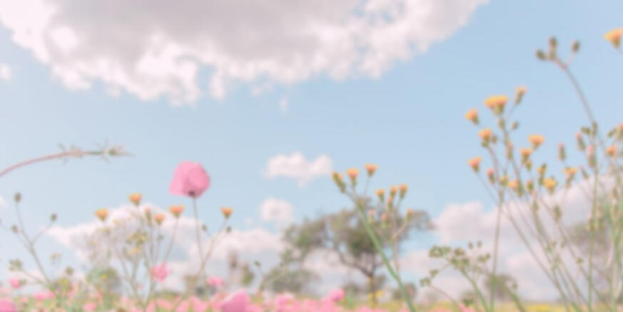 ₊‧°𐐪 LIST OF STUFF I LIKE 𐑂°‧₊